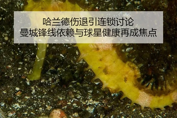 ha-lan-de-shang-tui-yin-lian-suo-tao-lun-man-cheng-feng-xian-yi-lai-yu-qiu-xing-jian-kang-zai-cheng-jiao-dian-2-413.jpg