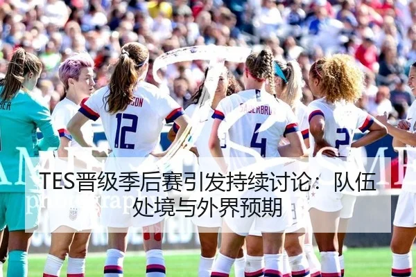 TES晋级季后赛引发持续讨论：队伍处境与外界预期